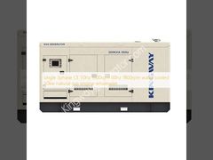 đơn 3phase CE 50hz 1500rpm 60hz 1800rpm làm mát bằng nước 50kw động cơ khí tự nhiên bán buôn