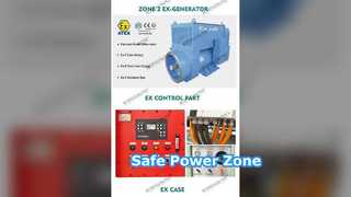 Máy phát điện Diesel chống cháy nổ 00kva Vùng ATEX