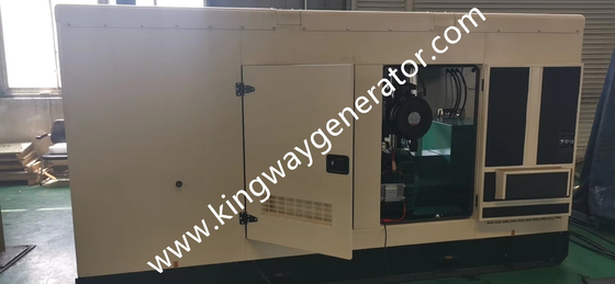 250KVA Khí tự nhiên Máy phát điện Cummins 200kw im lặng cho Máy điều hòa không khí bơm nhiệt khí