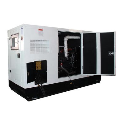 Động cơ diesel siêu yên lặng bằng lưới chính trực tiếp sản xuất nhà máy bán buôn