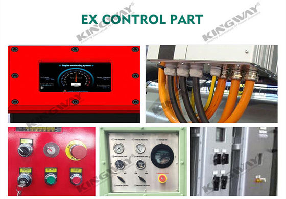 Cung cấp 400v 50hz 3 giai đoạn 4 dây 300kva động cơ diesel ex-proof ATEX Khu vực 2 được đánh giá dnvooffshore máy phát điện