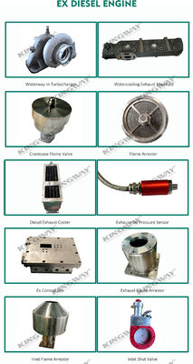 ATEX chứng nhận giai đoạn 3 200kw 250kva khu vực 2 thiết bị bộ máy diesel chống nổ với khung trượt DNVGL 2.7-1